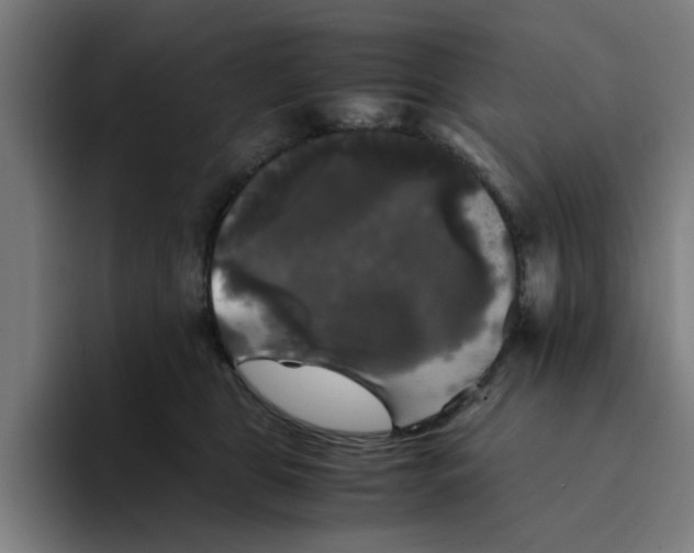 X0000094220469200711161852