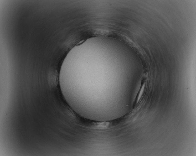 X0000094220474200711161852