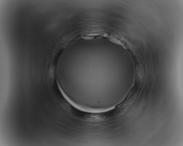 X0000094220475200711161852