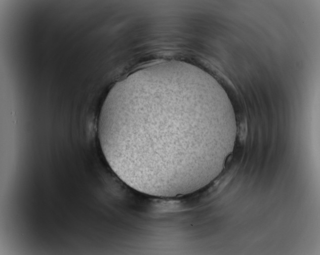 X0000094220476200711161852