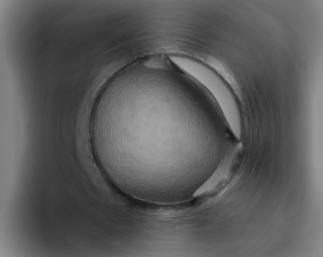 X0000094220481200711161852