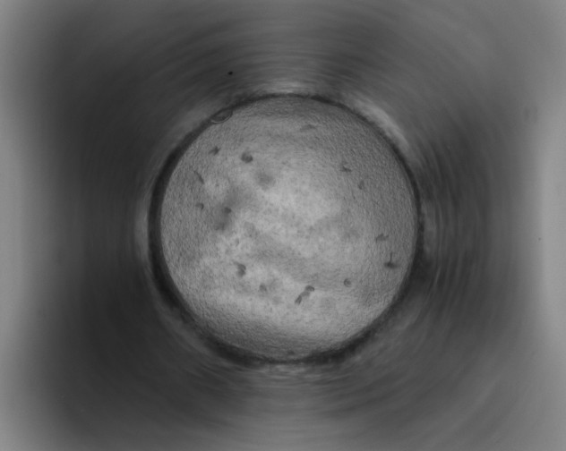 X0000094220482200711161852