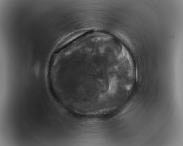 X0000094220483200711161852