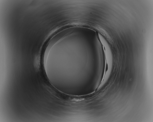 X0000094220484200711161852