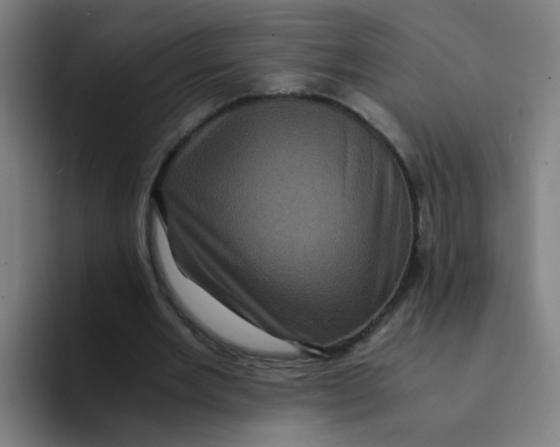 X0000094220485200711161852