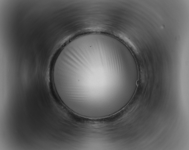 X0000094220486200711161852