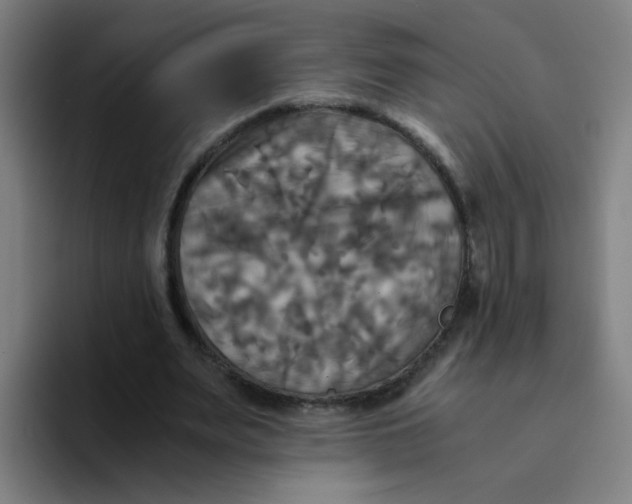 X0000094220487200711161852