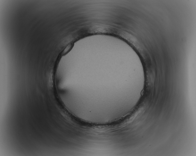 X0000094220489200711161852