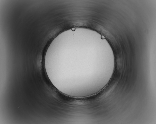 X0000094220490200711161852