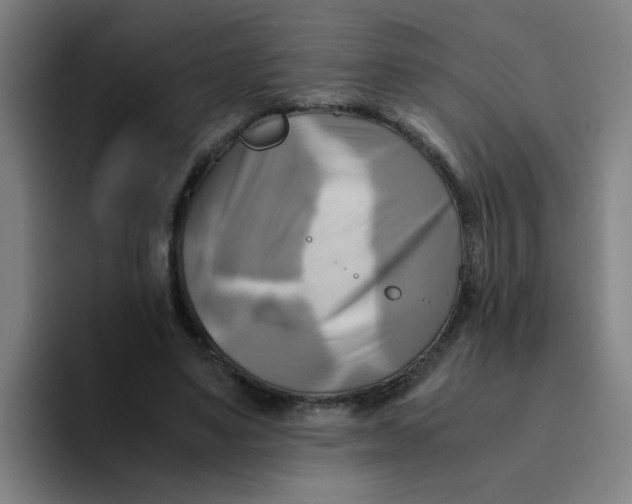 X0000094220491200711161852