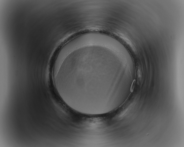 X0000094220492200711161852