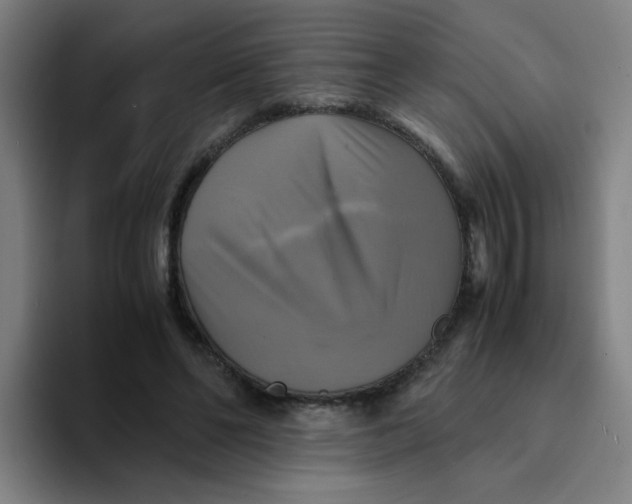 X0000094220494200711161852