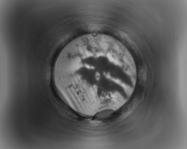 X0000094220495200711161852