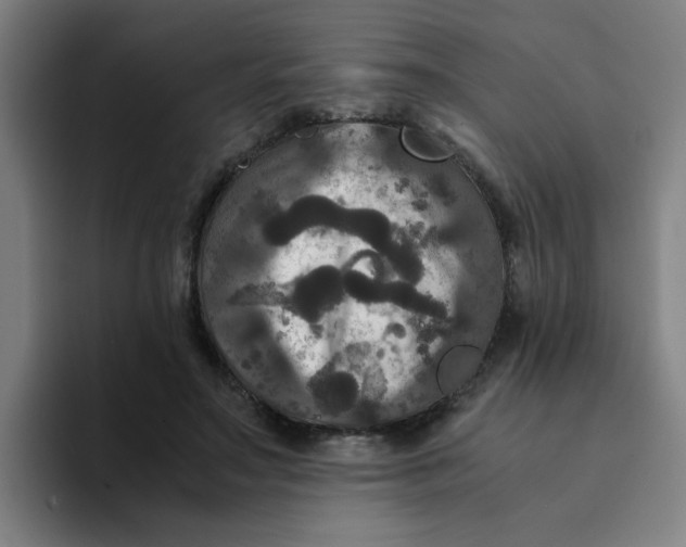 X0000094220499200711161852