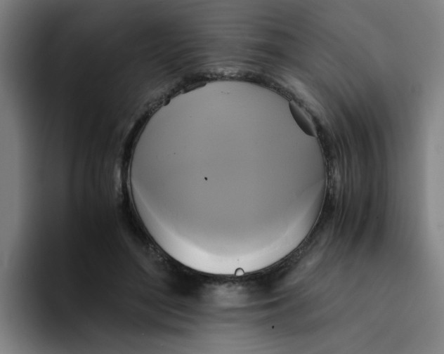 X0000094220500200711161852