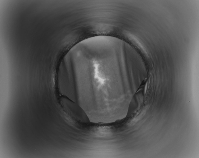 X0000094220501200711161852