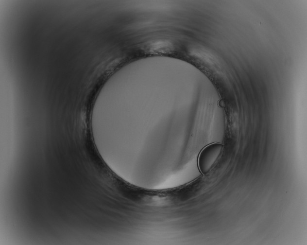 X0000094220506200711161851