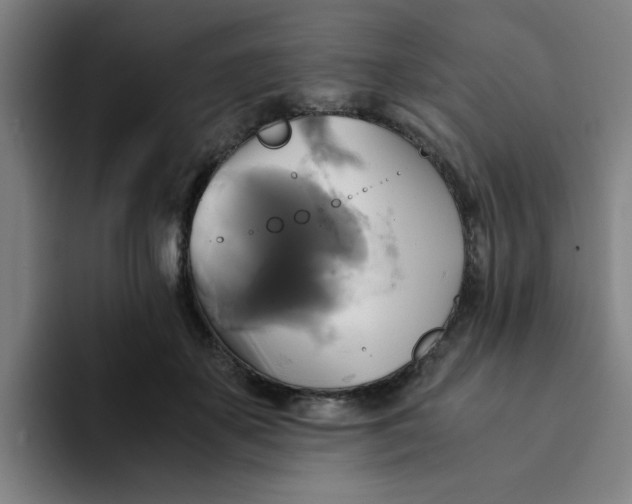 X0000094220507200711161851