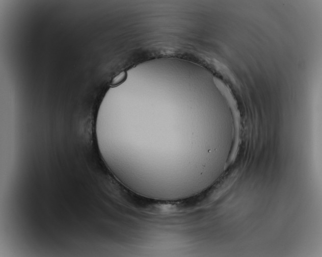 X0000094220509200711161851