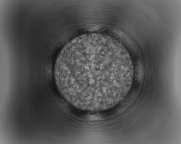 X0000094220510200711161851