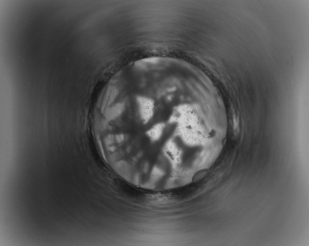 X0000094220511200711161851