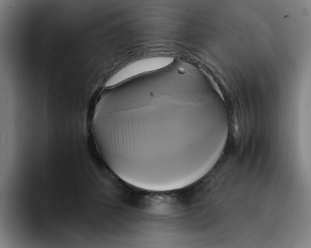 X0000094220512200711161851