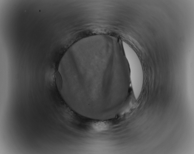 X0000094220513200711161851