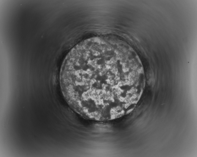 X0000094220515200711161851