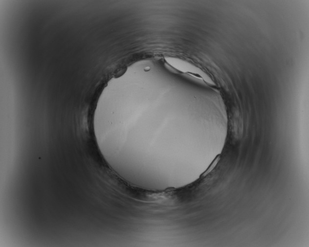 X0000094220516200711161851