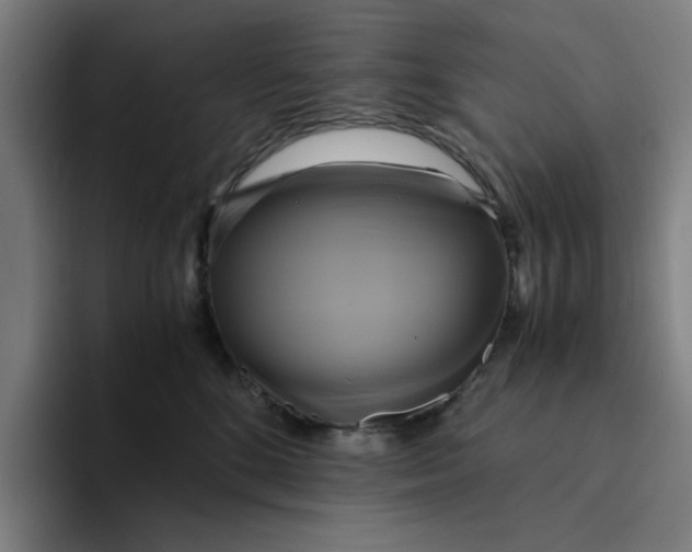 X0000094220520200711161851