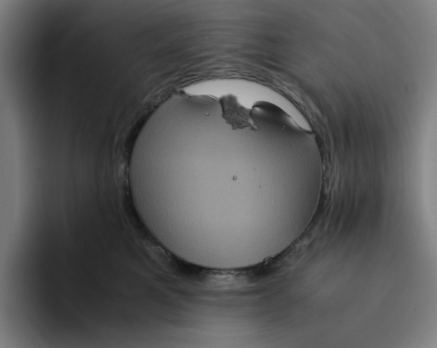 X0000094220521200711161851