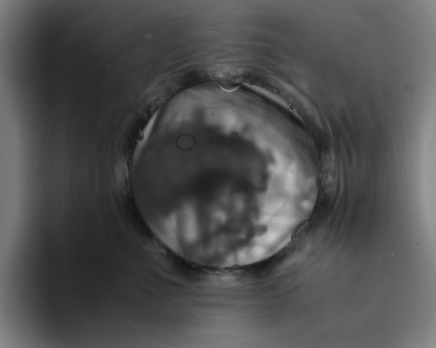 X0000094220523200711161851