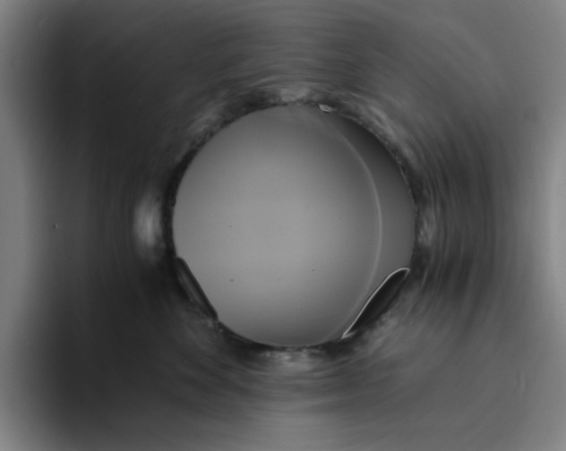 X0000094220524200711161851