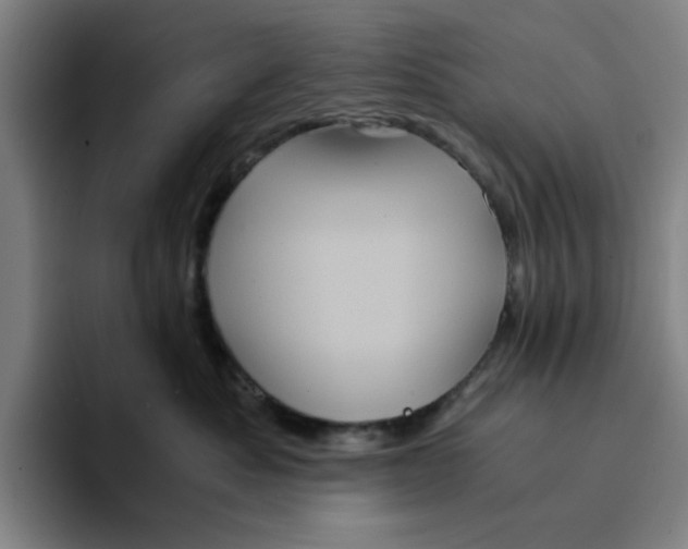 X0000094220525200711161851