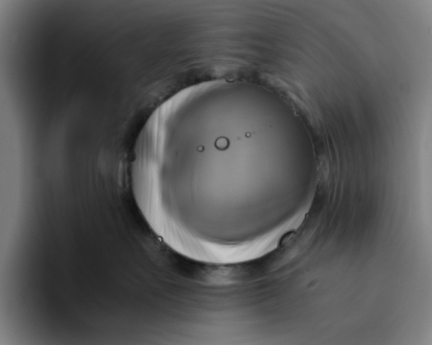 X0000094220527200711161851