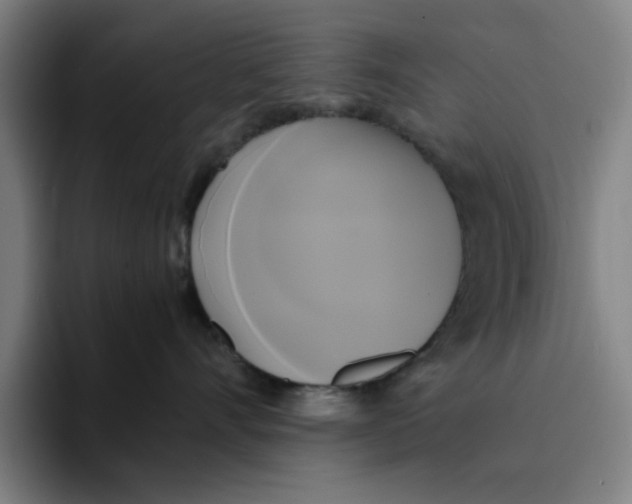 X0000094220528200711161851