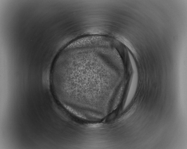 X0000094220530200711161851