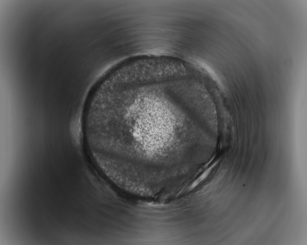 X0000094220532200711161851