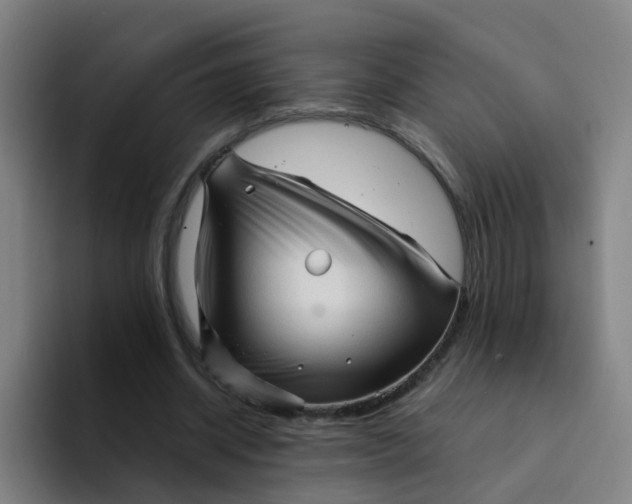 X0000094220534200711161851