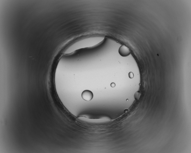 X0000094220536200711161851