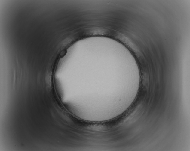 X0000094220537200711161851