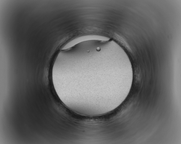 X0000094220538200711161851