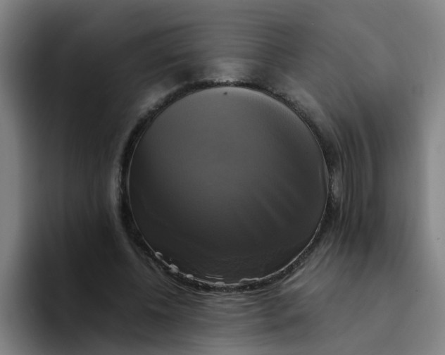 X0000094220540200711161851