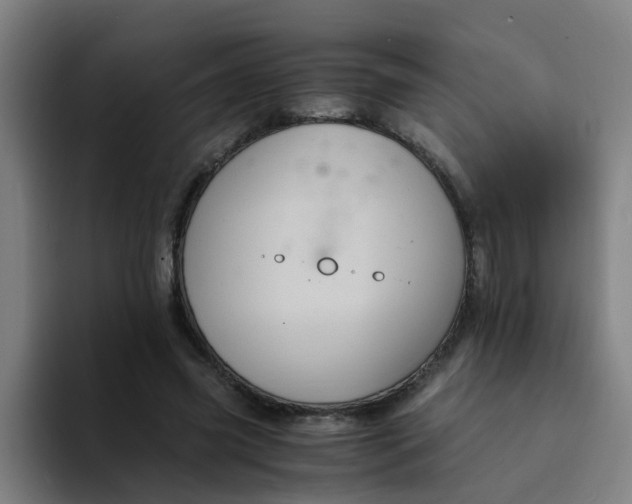 X0000094220541200711161851