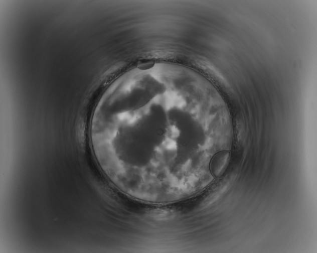 X0000094220542200711161851