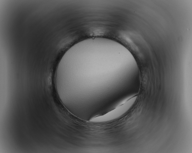 X0000094220543200711161851