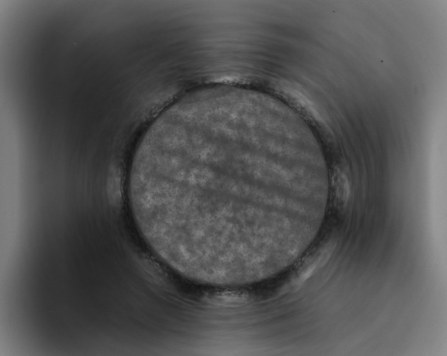 X0000094220546200711161851