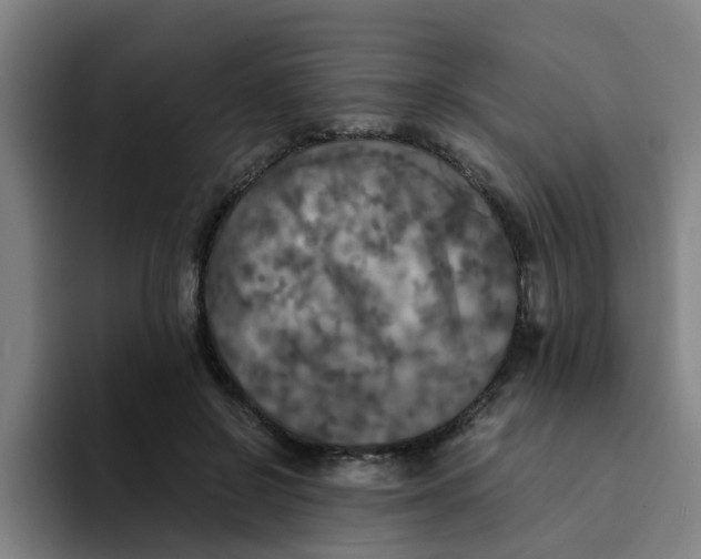 X0000094220550200711161851