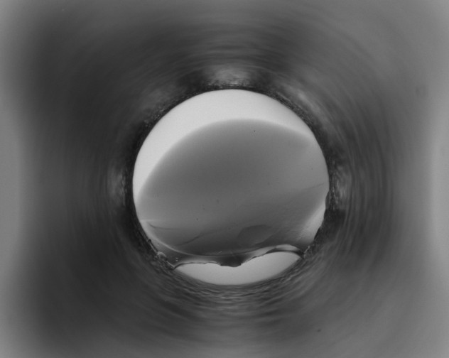 X0000094220551200711161851