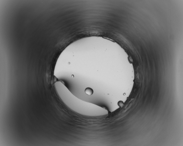 X0000094220552200711161851